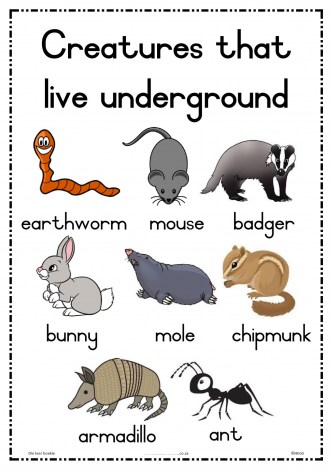 Creatures that live underground A3_1